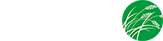 Logo NoroTec